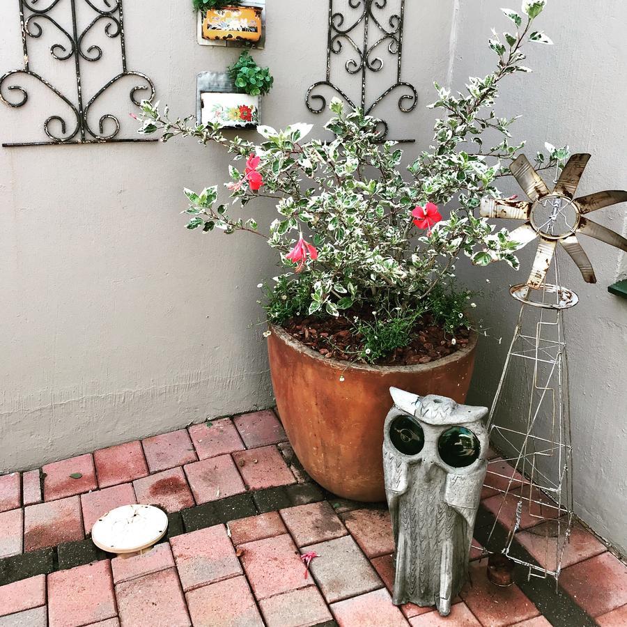 Blu Trea B&B Johannesburg Eksteriør bilde